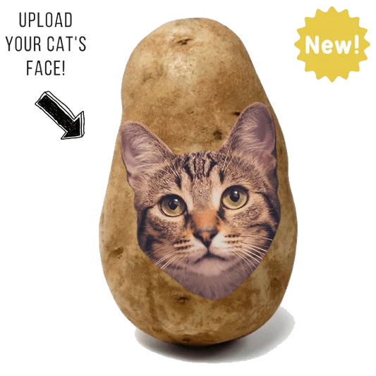 Potato Parcel Potato Kitty