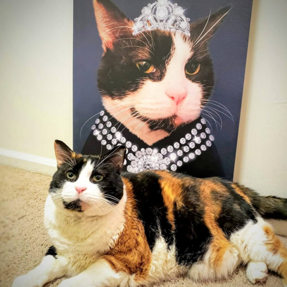 Iconic Paw Classy Lady Custom Pet Portrait