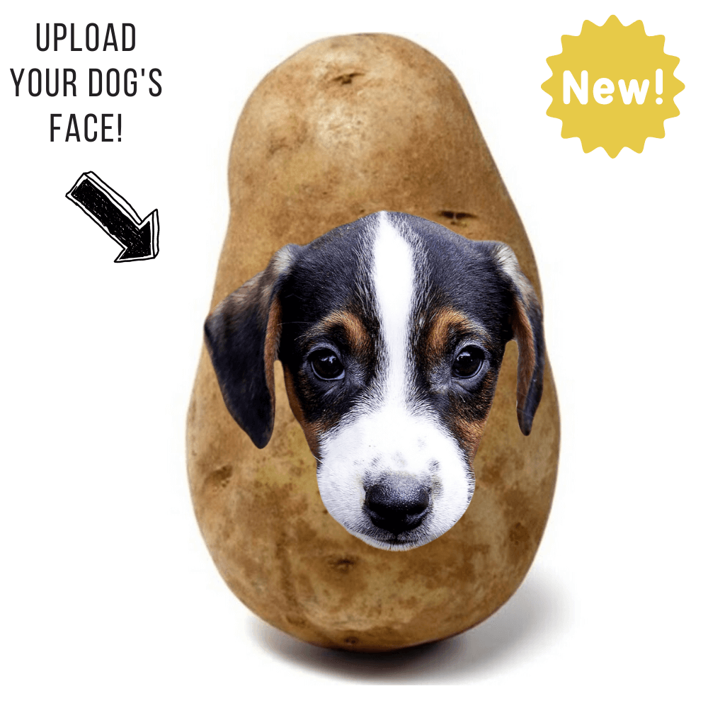 Potato Parcel Potato Pup