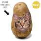 Potato Parcel Potato Kitty