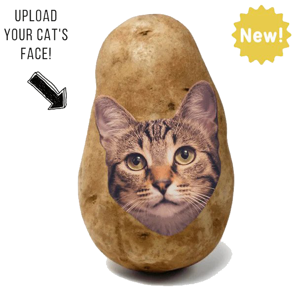 Potato Parcel Potato Kitty