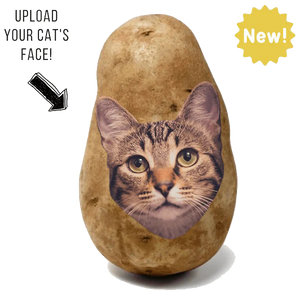 Potato Kitty
