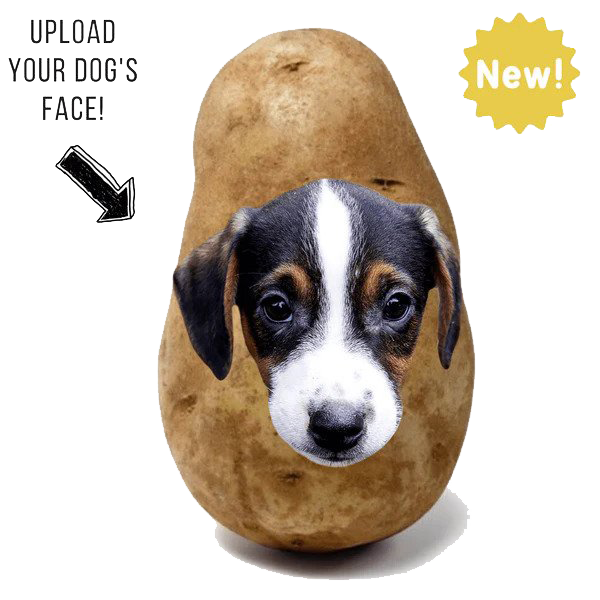 Potato Parcel Potato Pup
