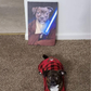 Iconic Paw Lightforce Paw Pet Portrait