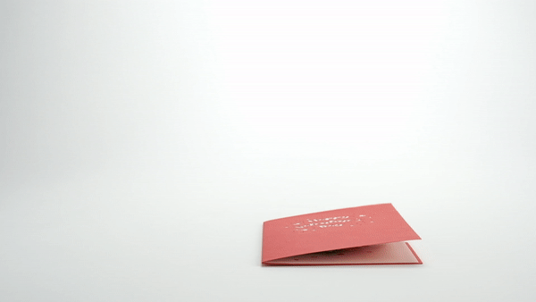 Potato Parcel Valentine's Day Potato Bundle